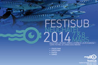 Affiche_Festisub_2014