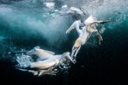 Simone Caprodossi - Australie